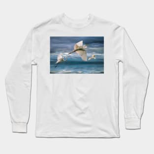 Night Flight Long Sleeve T-Shirt